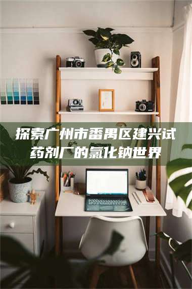 醴陵探索广州市番禺区建兴试药剂厂的氯化钠世界 第1张 醴陵探索广州市番禺区建兴试药剂厂的氯化钠世界 第1张