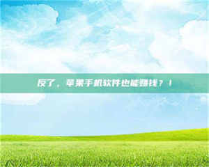 醴陵反了，苹果手机软件也能赚钱？！ 第1张