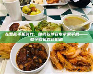 醴陵在智能手机时代，赚钱软件安卓苹果手机——数字钱包的新机遇 第1张