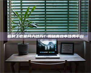 醴陵临时工也能月入过万？揭秘高效率任务平台 第1张