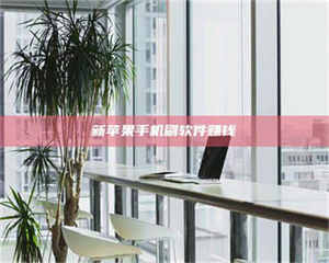 醴陵新苹果手机刷软件赚钱 第1张